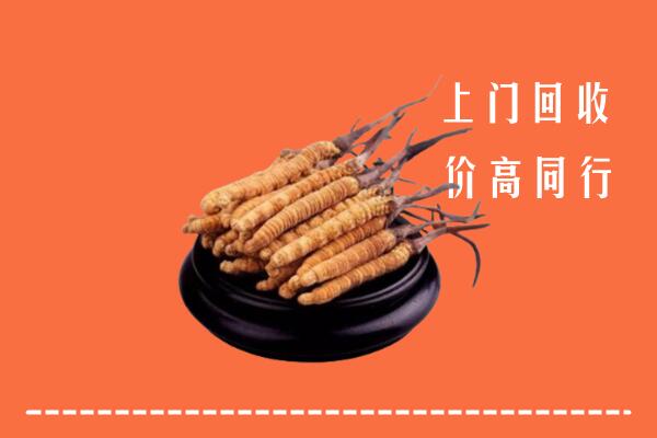 高价求购：江门鹤山回收散虫草