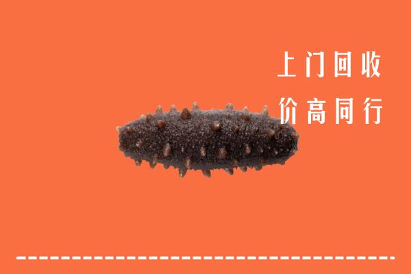 江门鹤山回收海参
