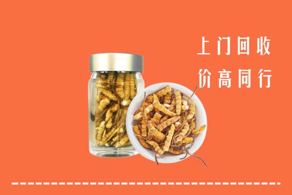 收购行情：江门鹤山回收冬虫夏草